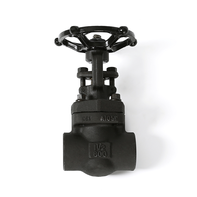 Socket weld globe valve/gate valve