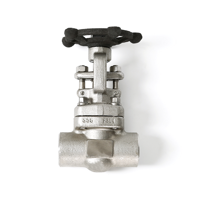 Socket weld globe valve