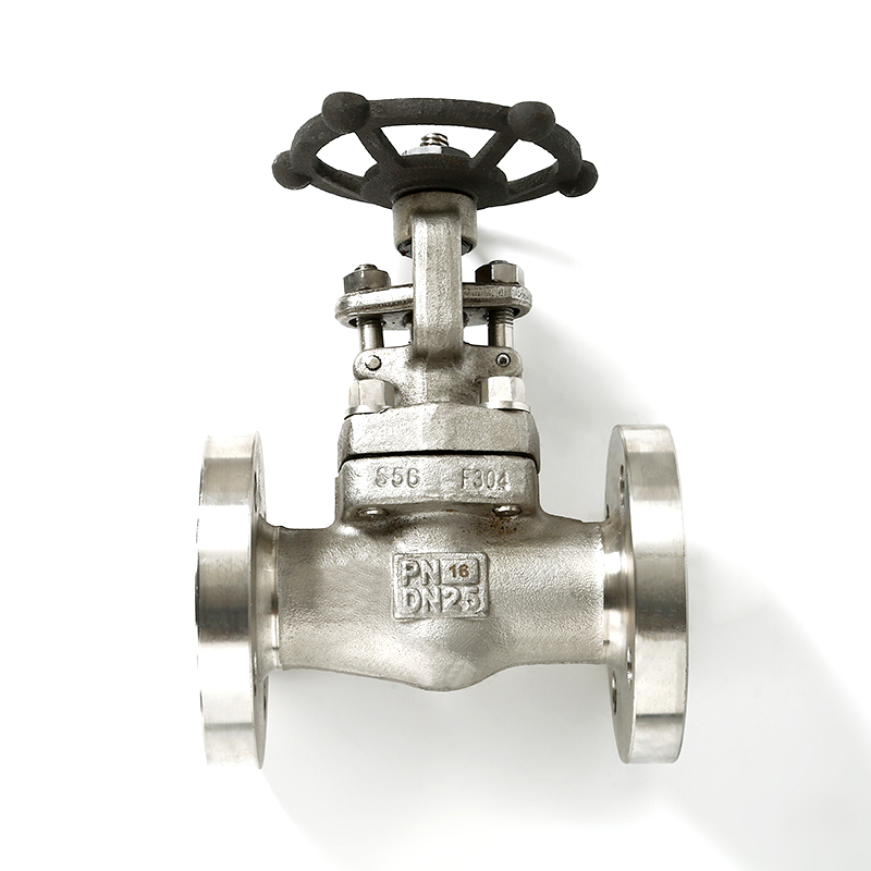 Socket weld globe valve