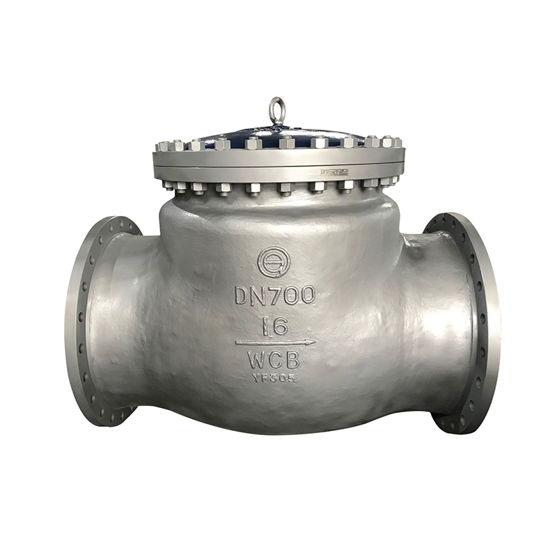 Swing check valve