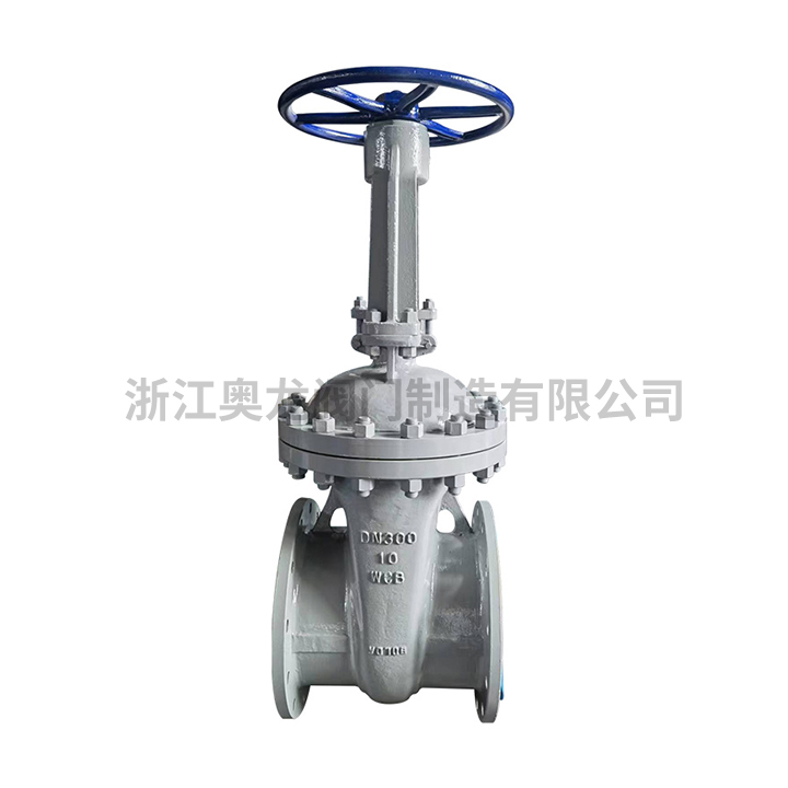 gate valve